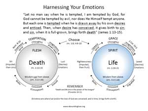 harnessing